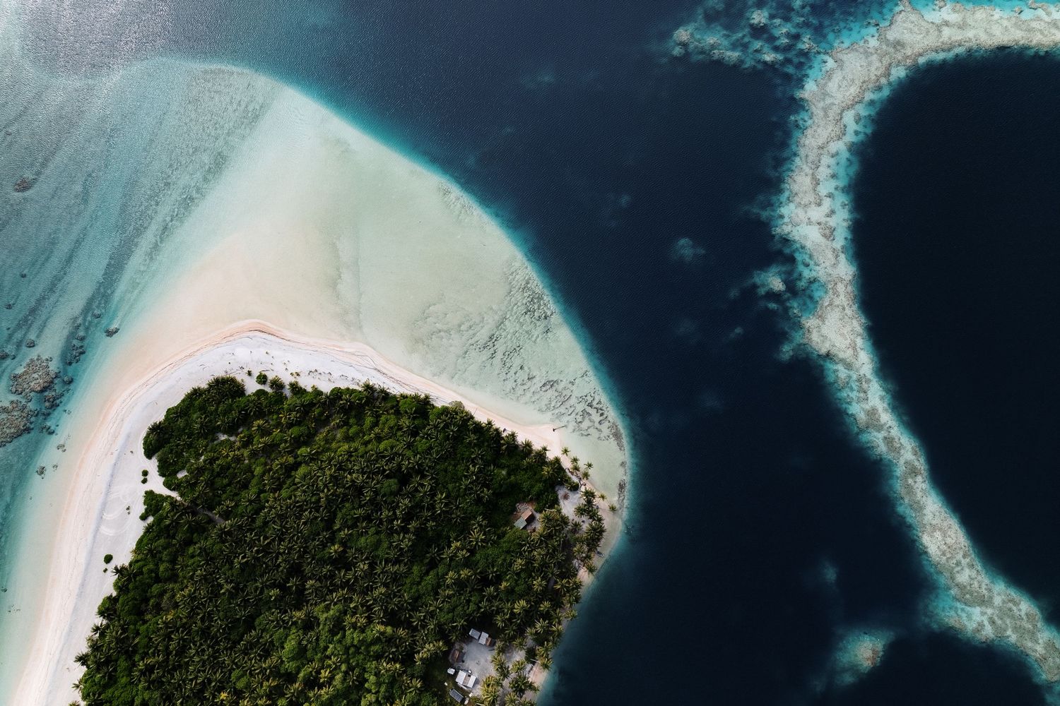 Aerial view of a tropical island with lush greenery, white sand beach, and vibrant coral reef in turquoise waters.