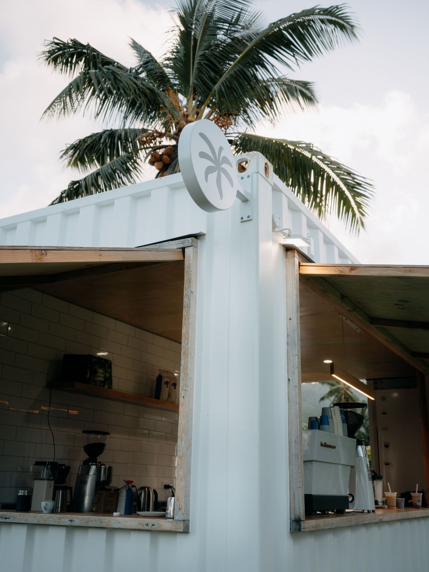 Tropical coffee shop in a white shipping container with palm tree backdrop and espresso bar setup.