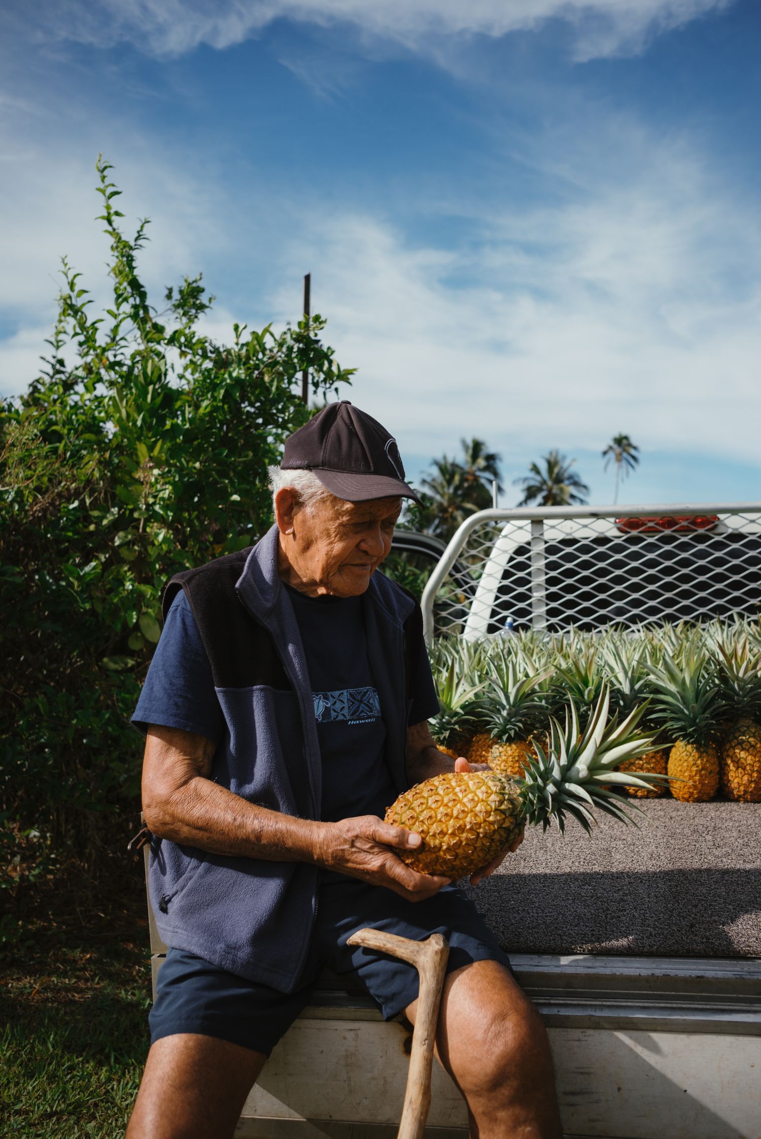Elderly man sitting on truck bed holding fresh pineapple with tropical trees and blue sky in background.
