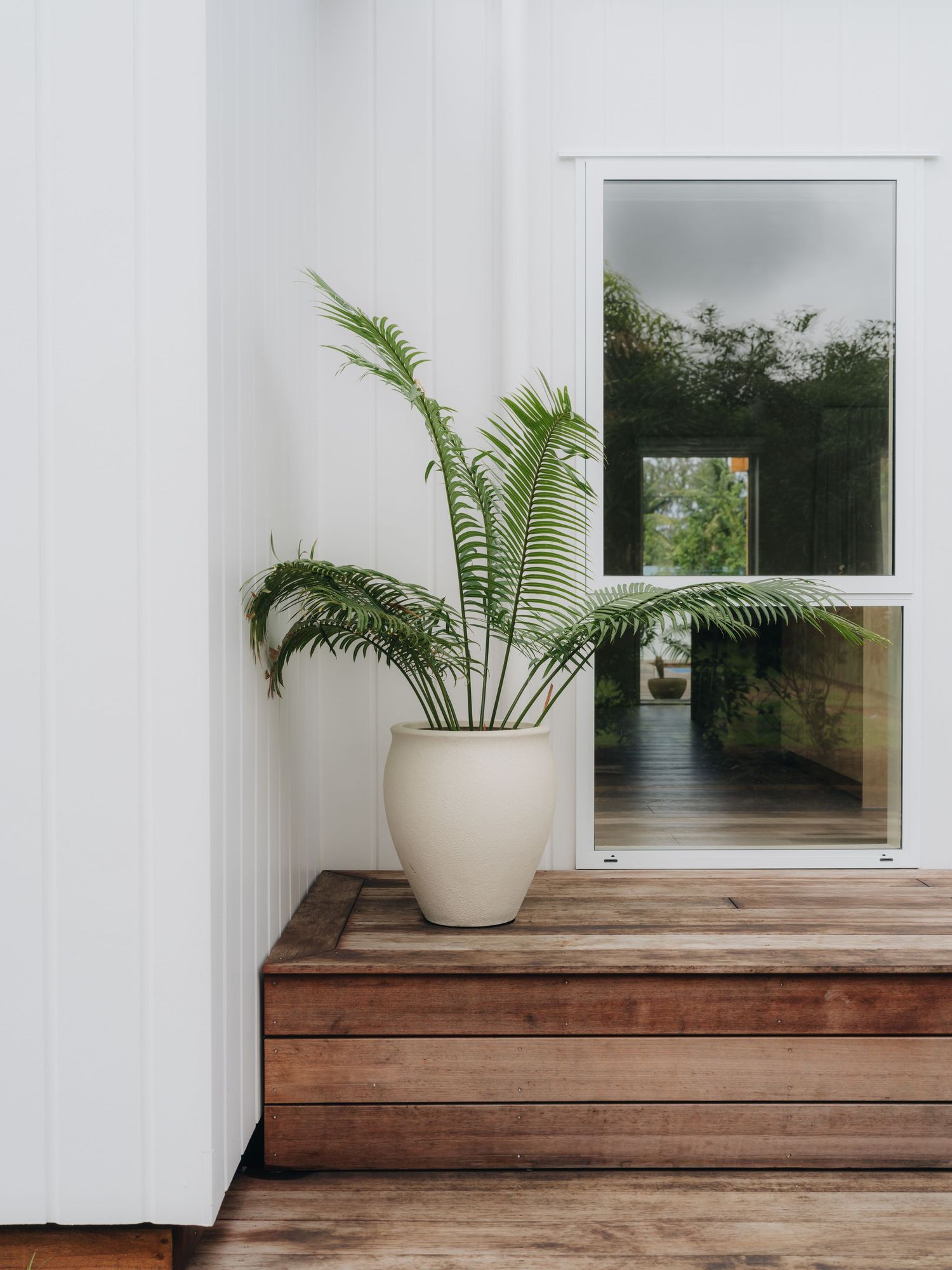 A white ceramic pot with a tropical palm plant sits on wooden deck steps beside a white-framed window.