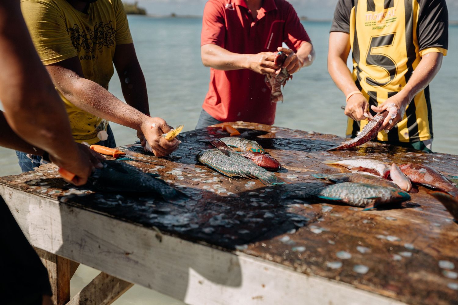 Three people cleaning and preparing fresh fish on a weathered outdoor table by the ocean shore.