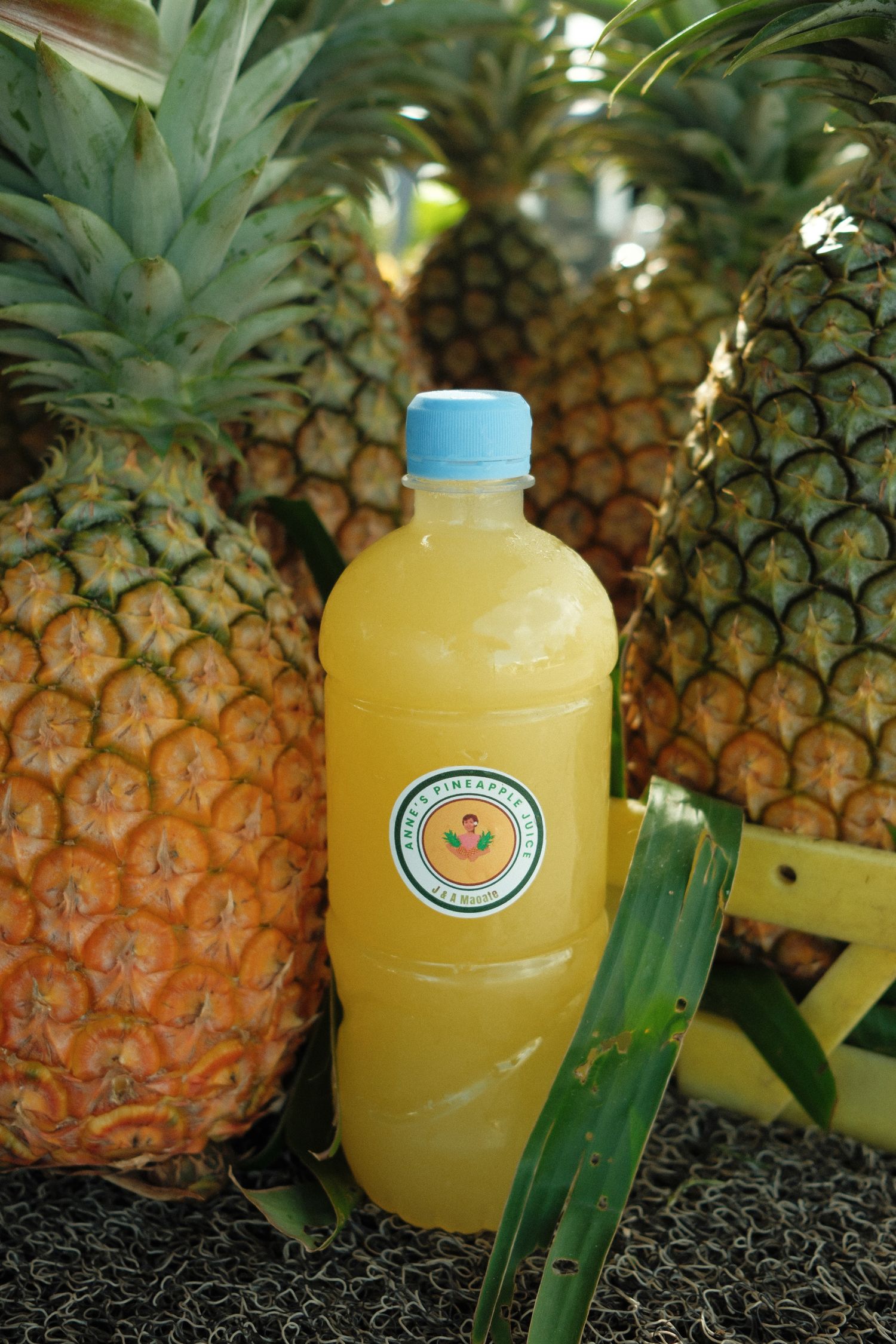 Fresh pineapple juice in a plastic bottle surrounded by ripe whole pineapples and green leaves outdoors.