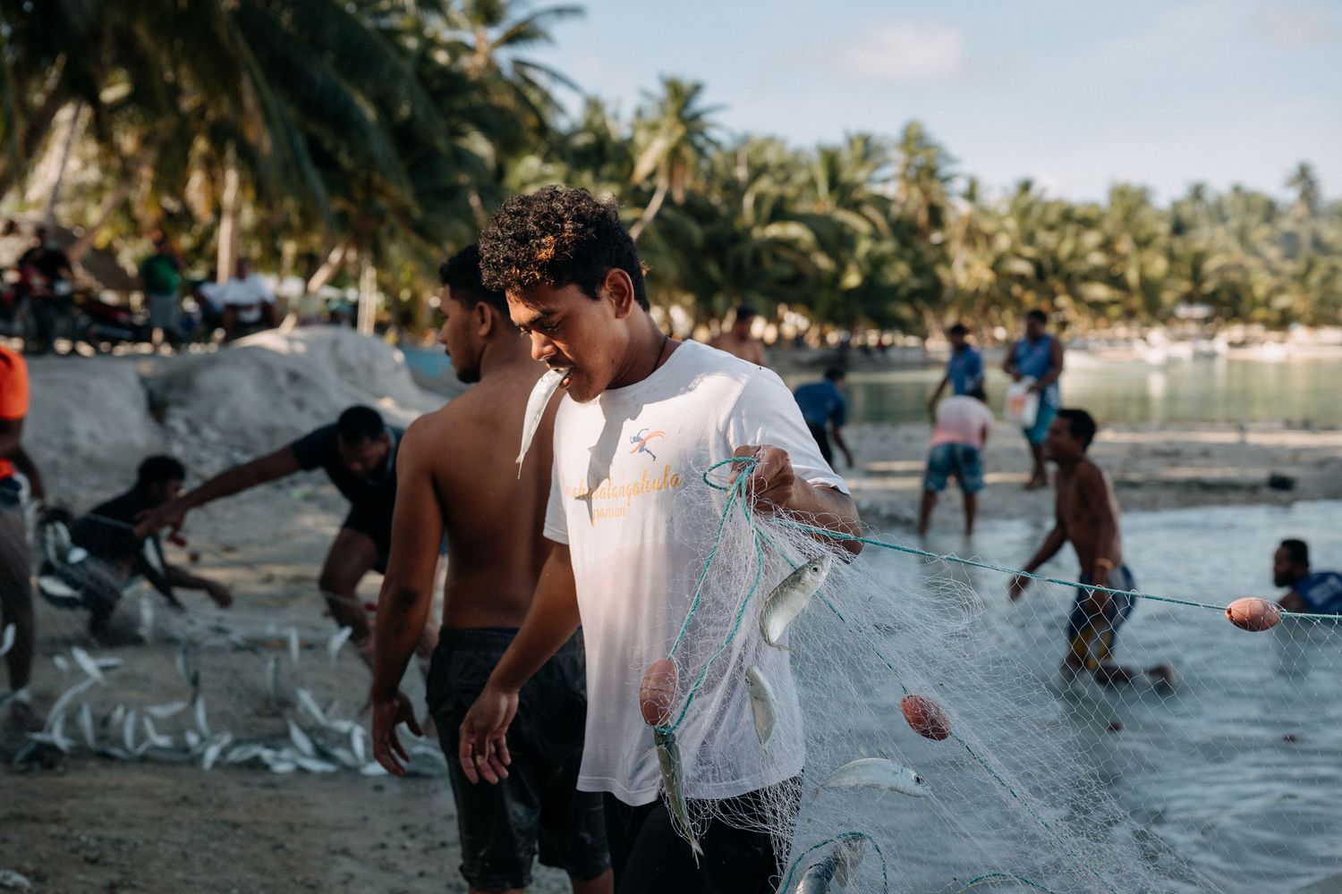 Men hauling fishing nets on a tropical beach surrounded by palm trees and shallow water.