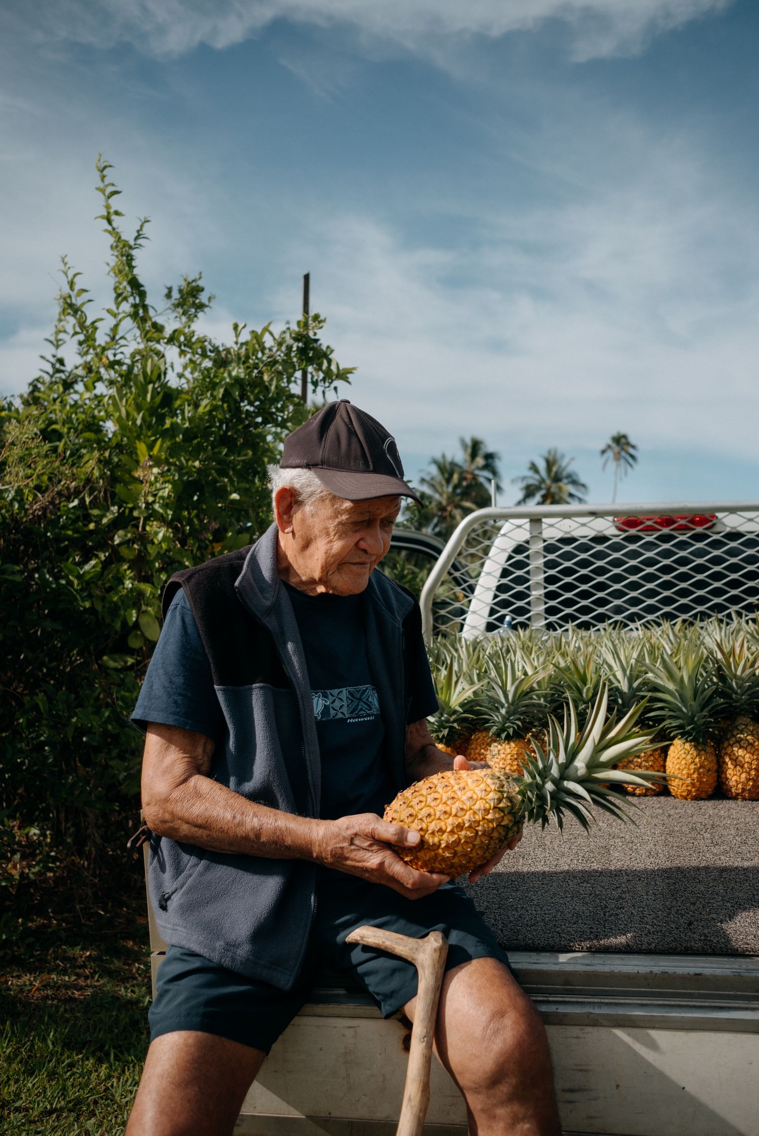 Elderly man in cap holding fresh pineapple beside truck bed full of pineapples outdoors in tropical setting.