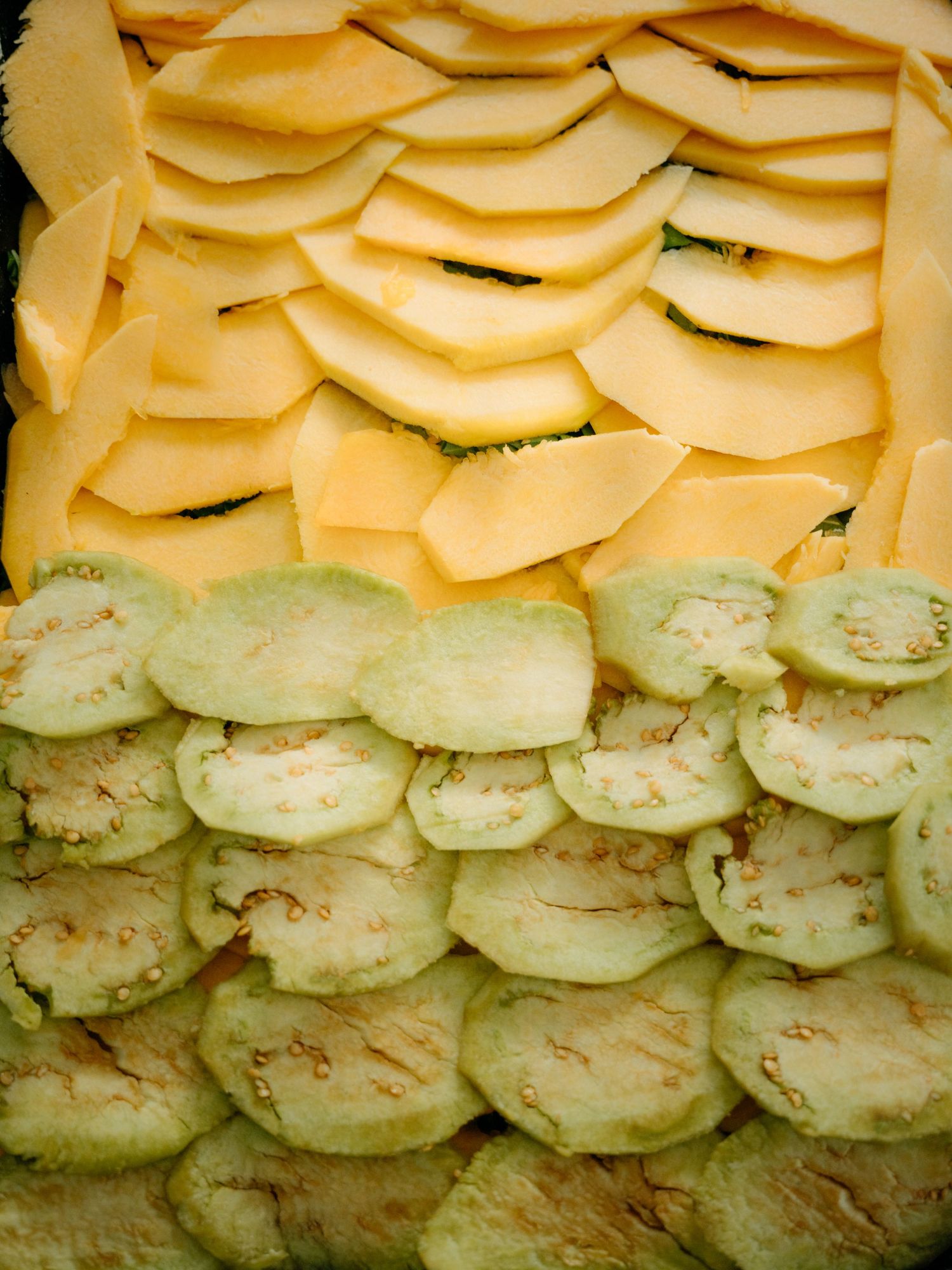 Sliced yellow squash and zucchini rounds arranged in overlapping layers in a baking dish.
