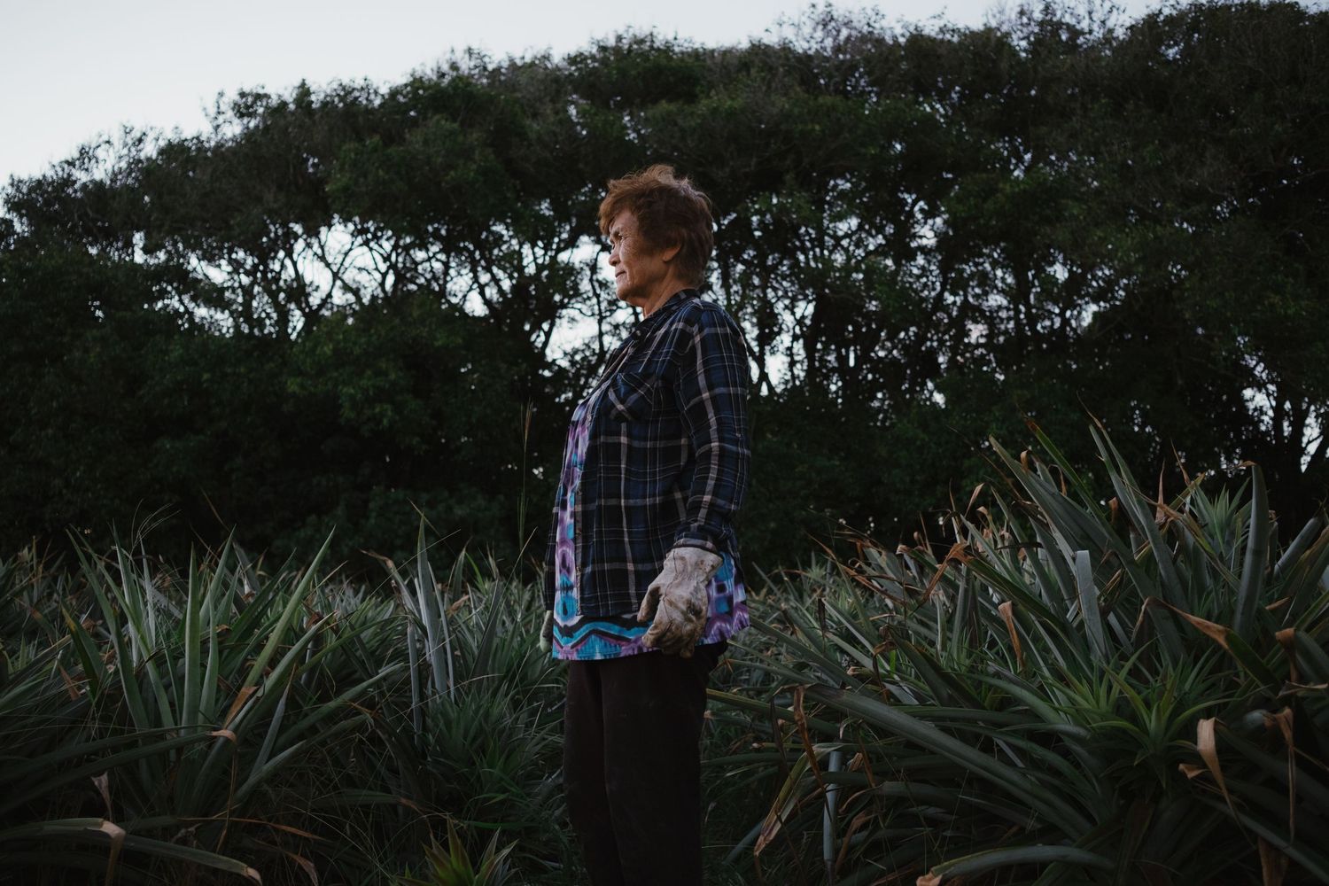 Person standing in a lush green garden at dusk, wearing a plaid jacket among tropical plants.