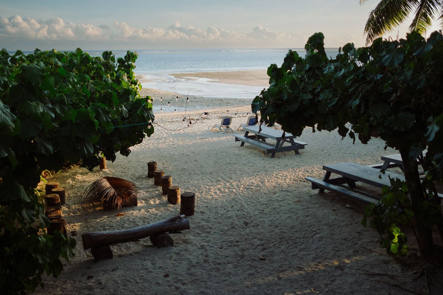 Tropical beach scene with picnic tables, lush green trees, and calm ocean waves at dusk.