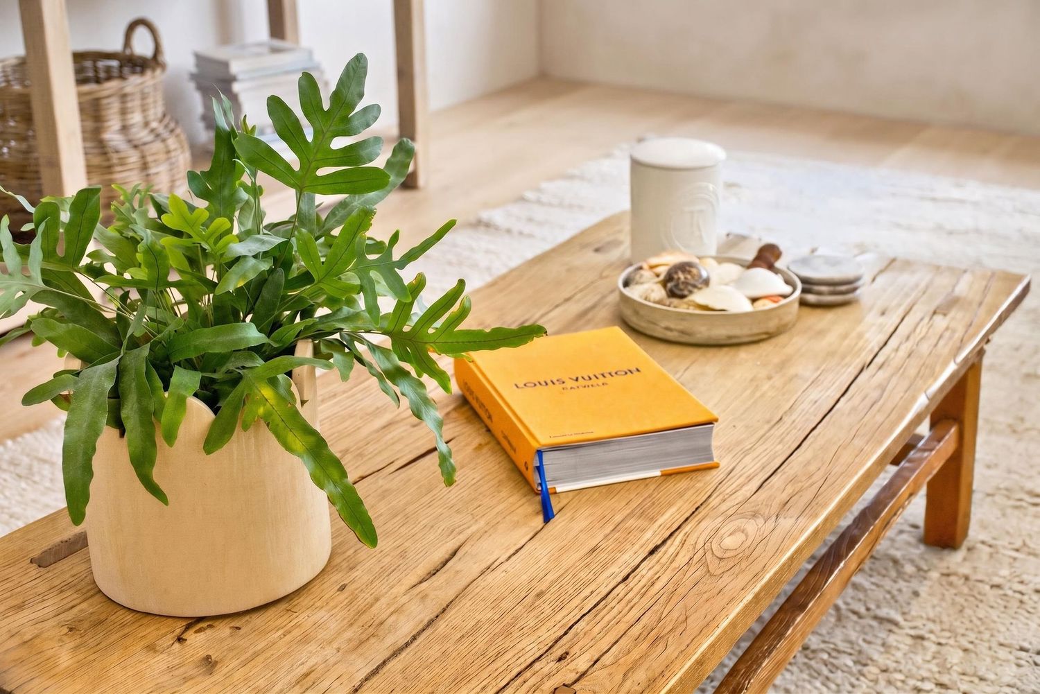 Styled interior detail of a home featuring a coffee table with a potted plant and a book, creating a calm, lived-in aesthetic