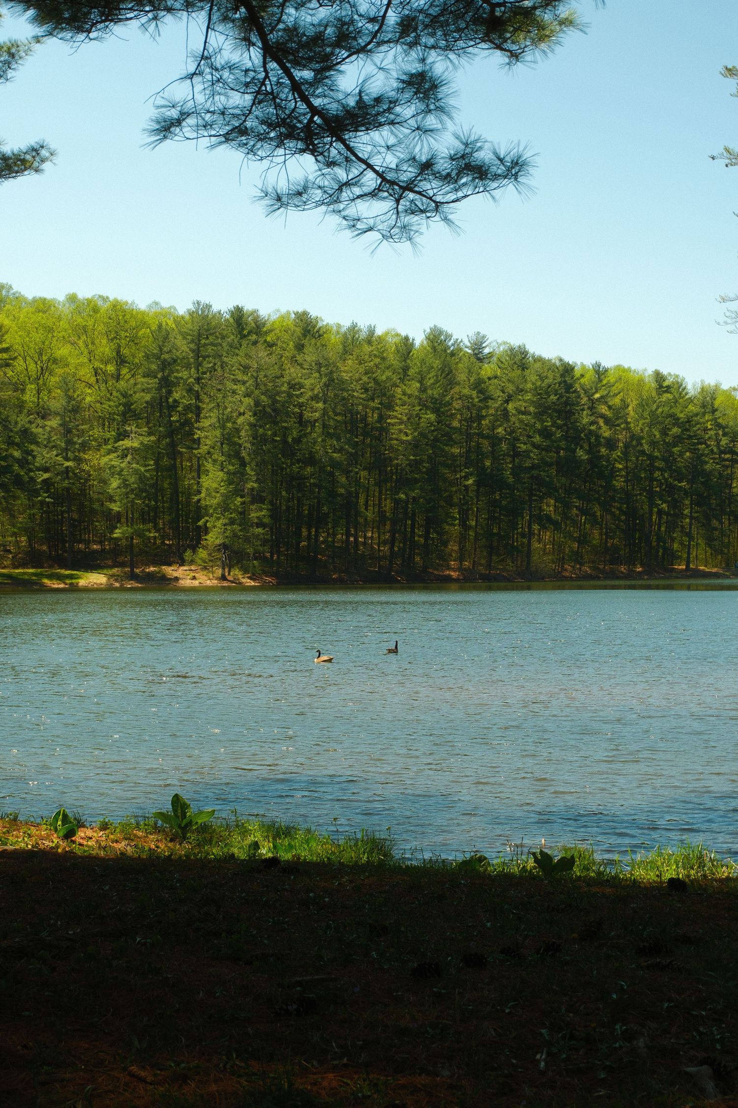 Birdsboro Quarry