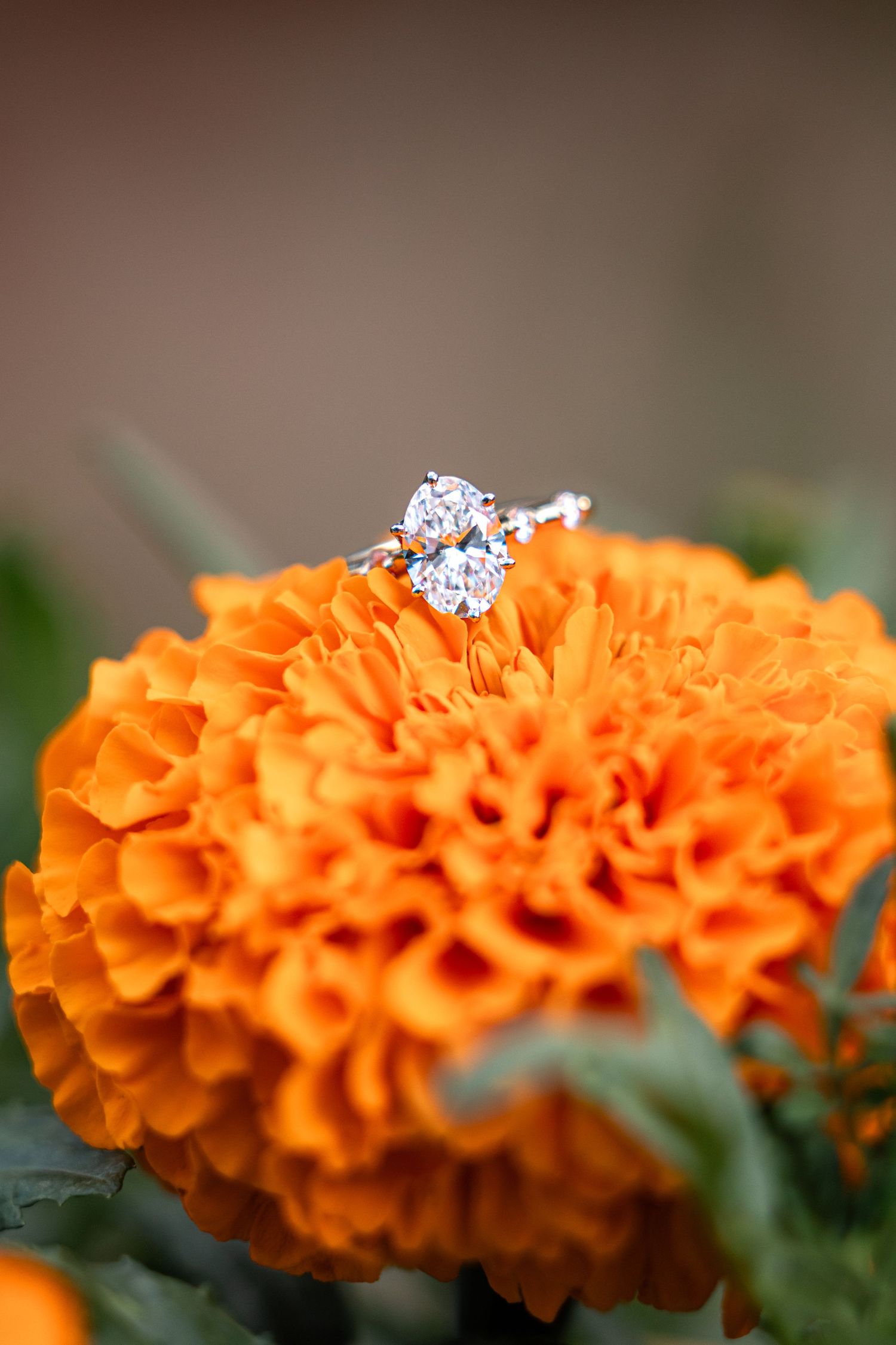 Diamond engagement ring resting on a vibrant orange marigold flower with a blurred natural background.