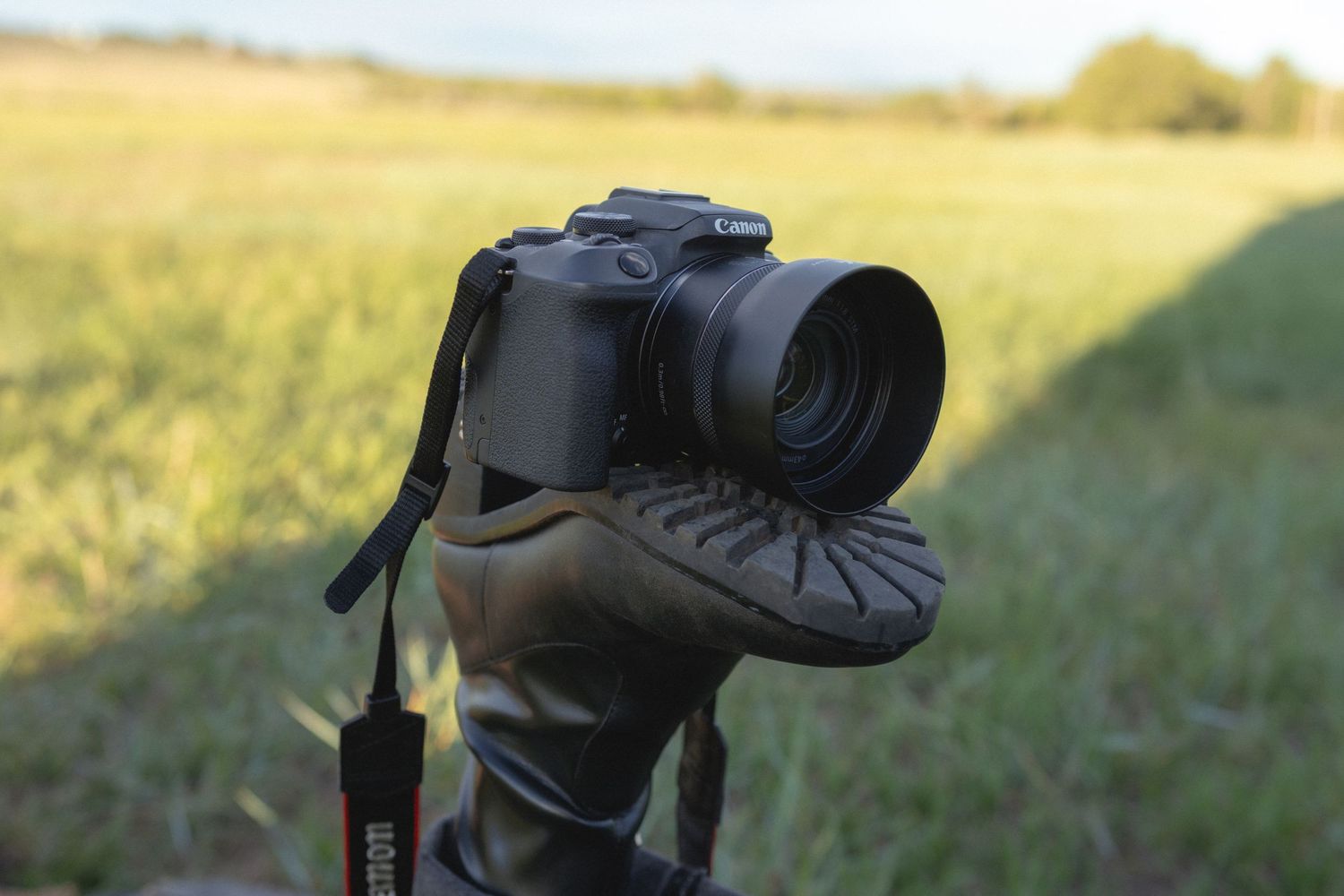 Canon DSLR camera mounted on a tripod head outdoors in a green field, captured in natural sunlight.