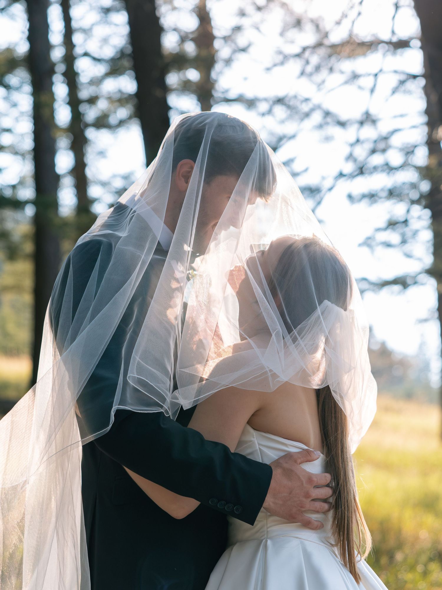 Bride and groom sharing a romantic kiss under a flowing white wedding veil in a sunlit forest setting.