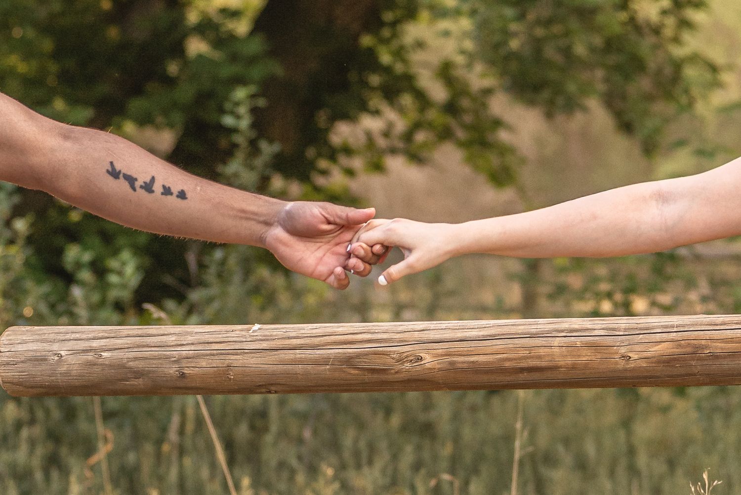 Two hands reaching toward each other over a wooden log fence, one arm featuring a bird tattoo, outdoors.