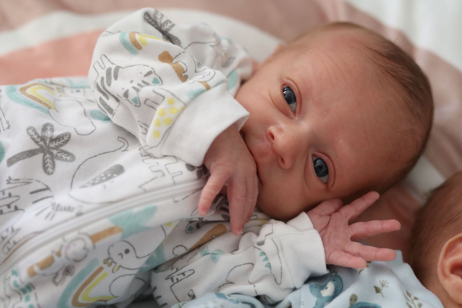 Nouveau-né dans les bras de son papa, émotion capturée à Gatineau.