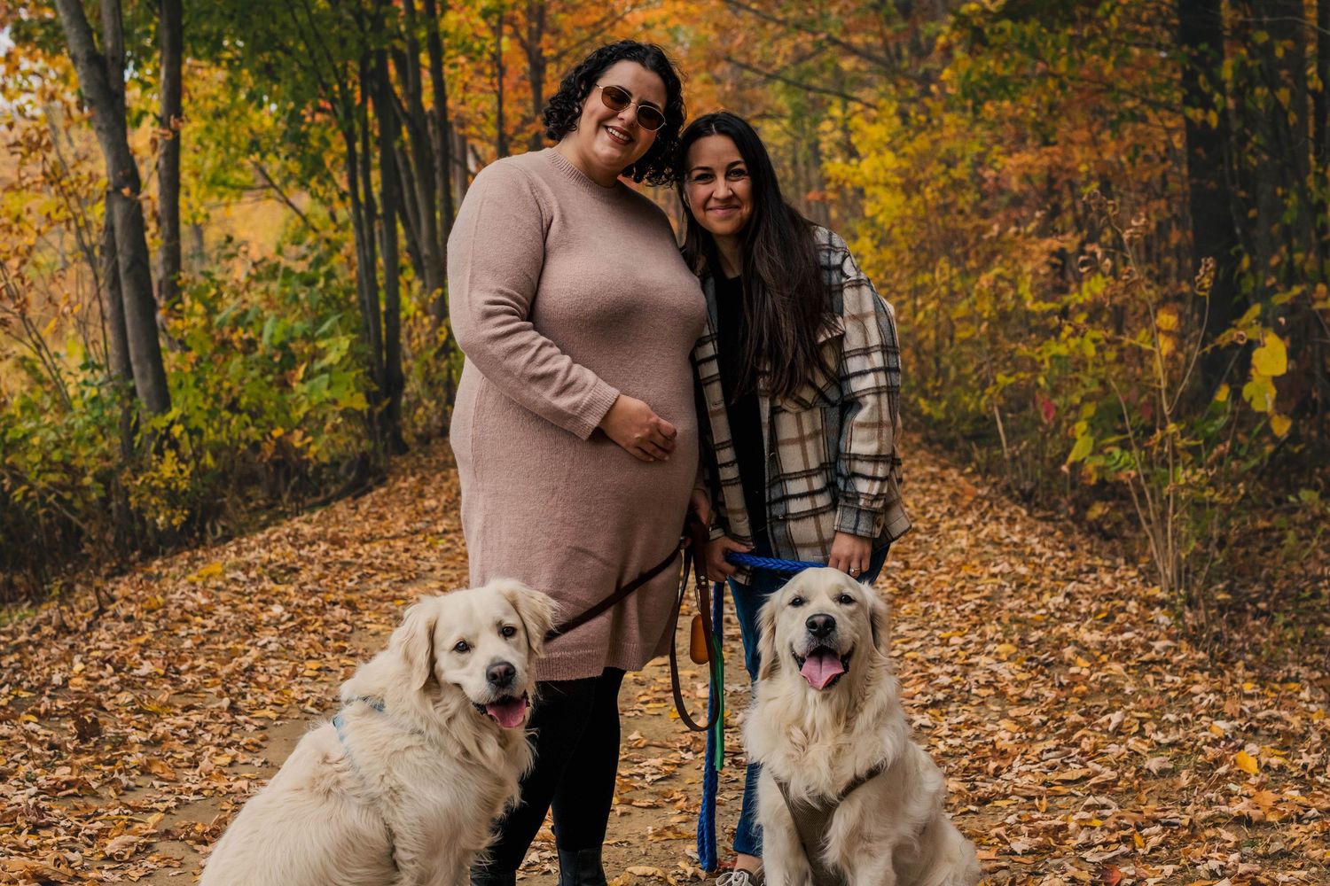Photographie de chien saisie sur le vif dans un décor naturel à Gatineau.