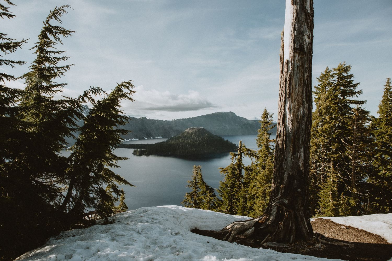 A view of snow and trees at Crater Lake Oregon