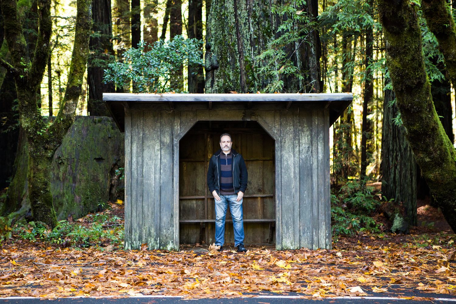 A man stands inside a shelter at Avenue of the Giants in Northern California