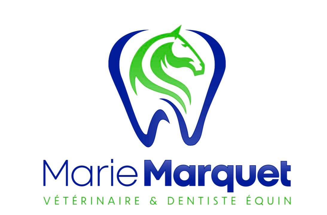 Marie Marquet Vétérinaire et Dentiste équin