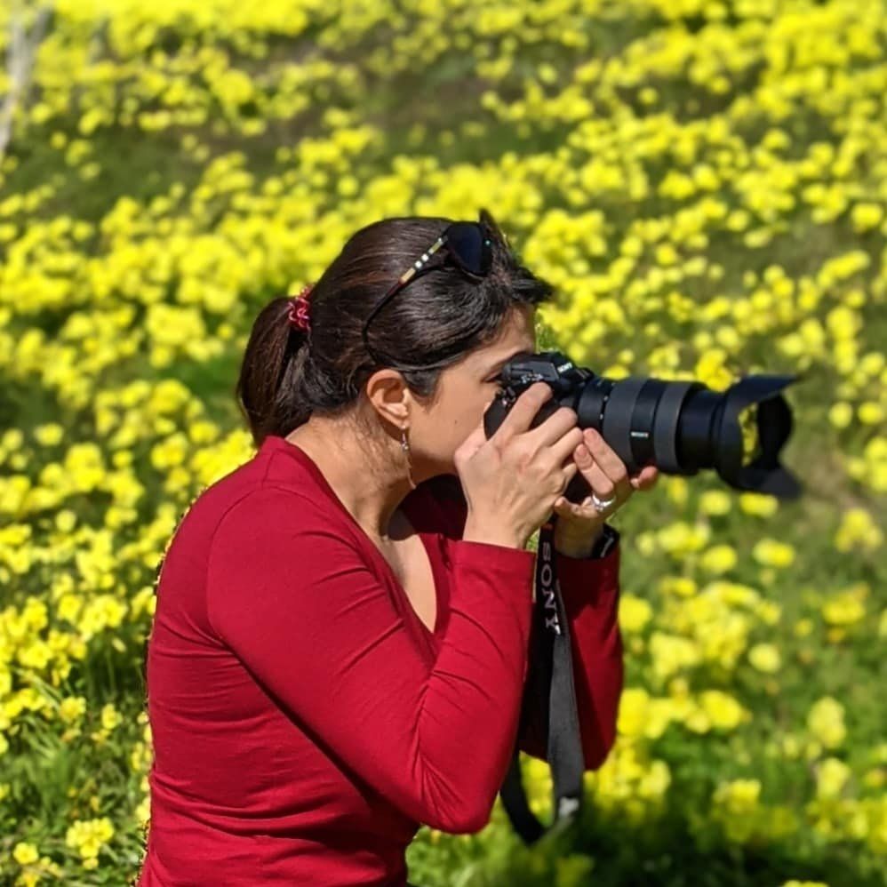 Photographer in red sweater taking pictures among yellow wildflowers on a sunny day.
