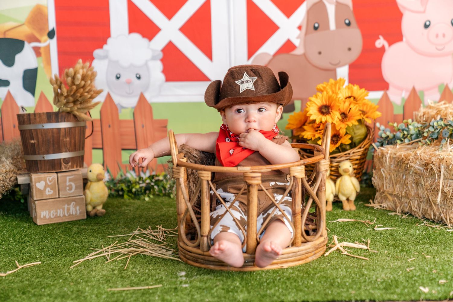 Farm-themed photo setup with rustic barrel, sunflowers and barn backdrop.