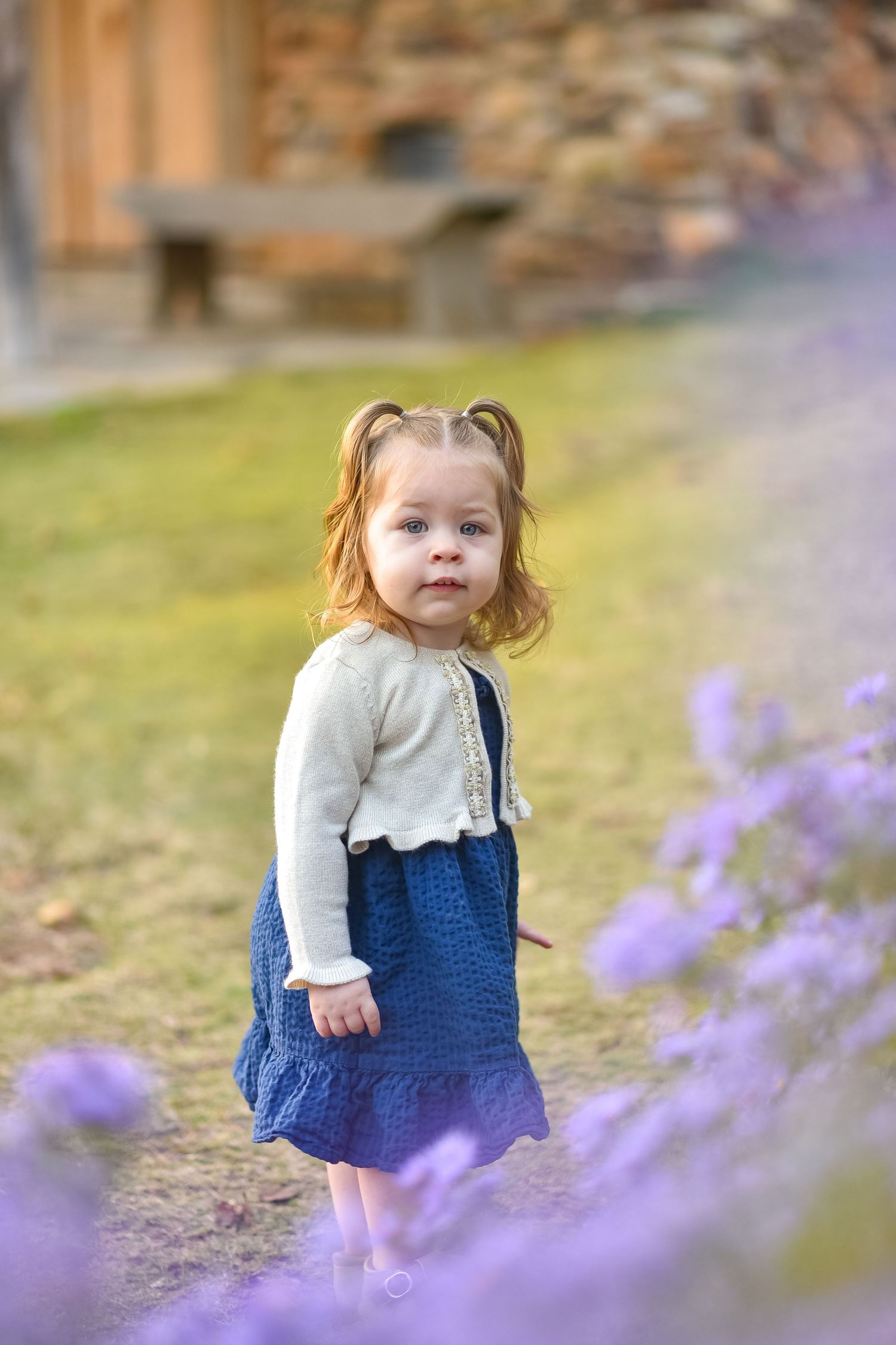 Family session, minis, fall, NC, Raleigh
