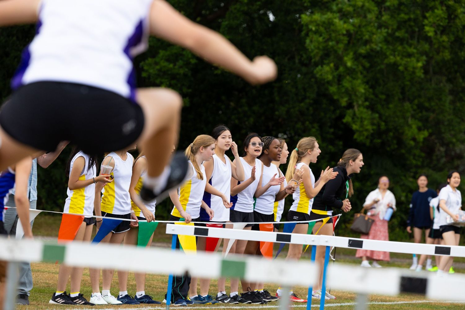 People running and jumping over hurdles on an outdoor track with green foliage in the background.