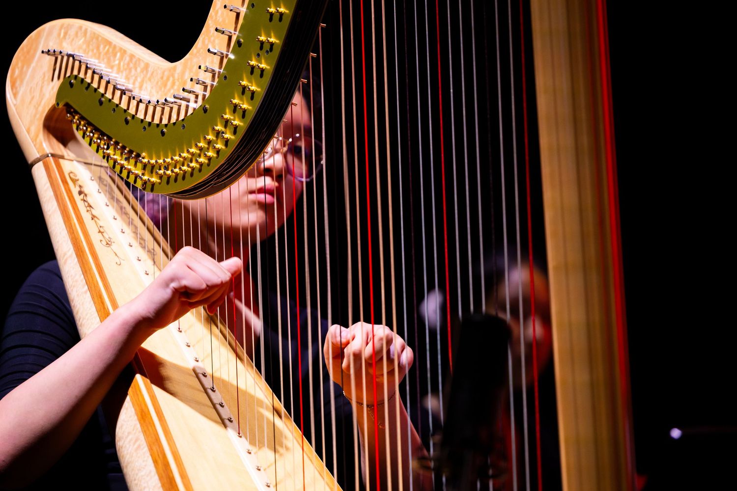 Close-up of ornate golden harp strings during a performance.