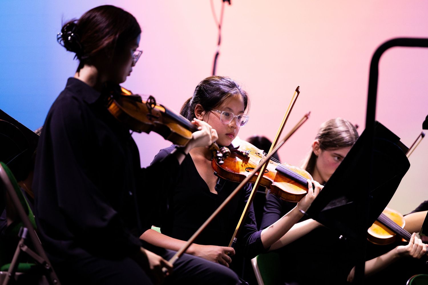 Musicians play string instruments in front of a pink and blue gradient backdrop.