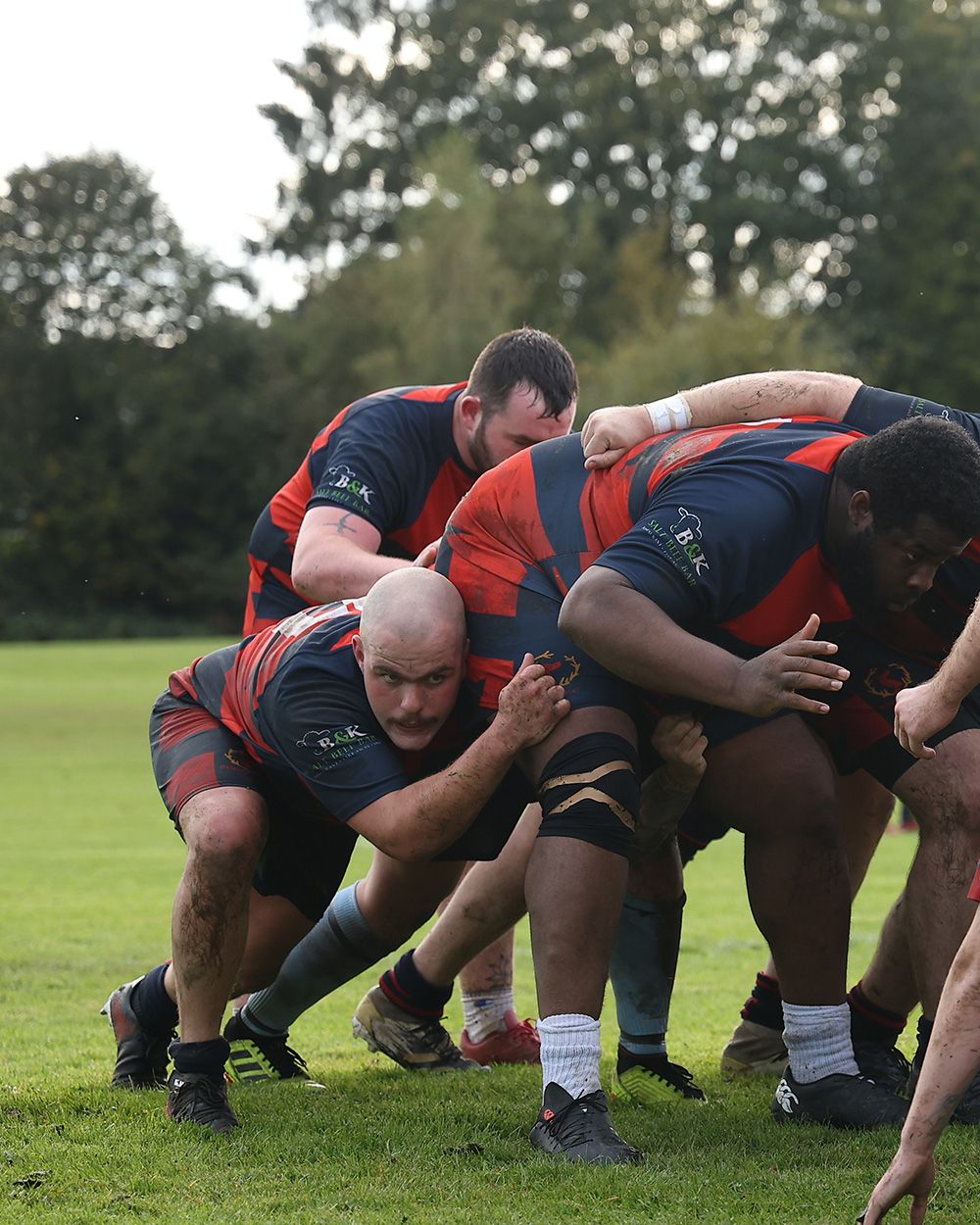 Rugby players from opposing teams engage in a scrum formation during a match on a grass field.