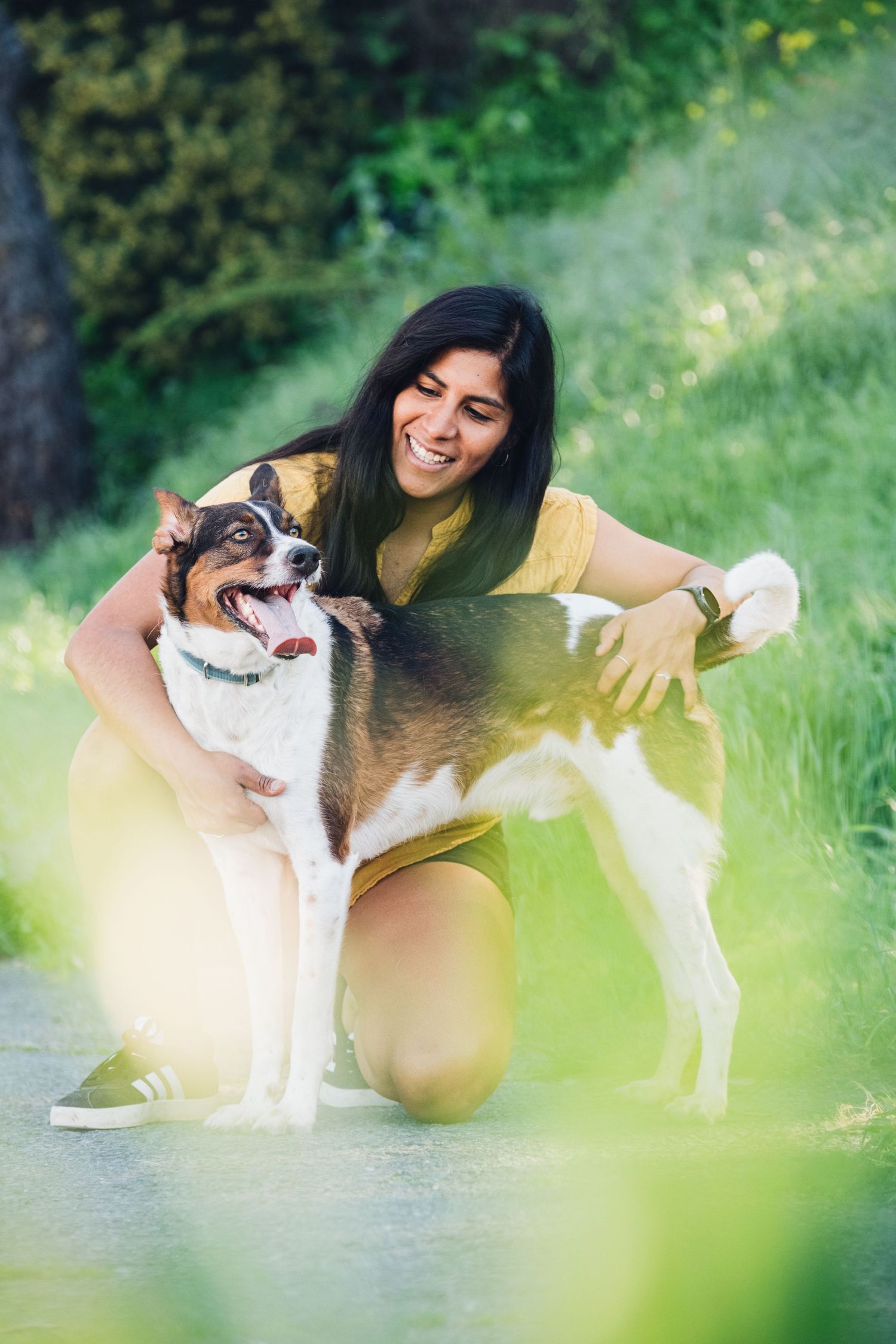 A tricolored dog and person enjoying a sunny day together in a green outdoor setting while dressed in yellow.