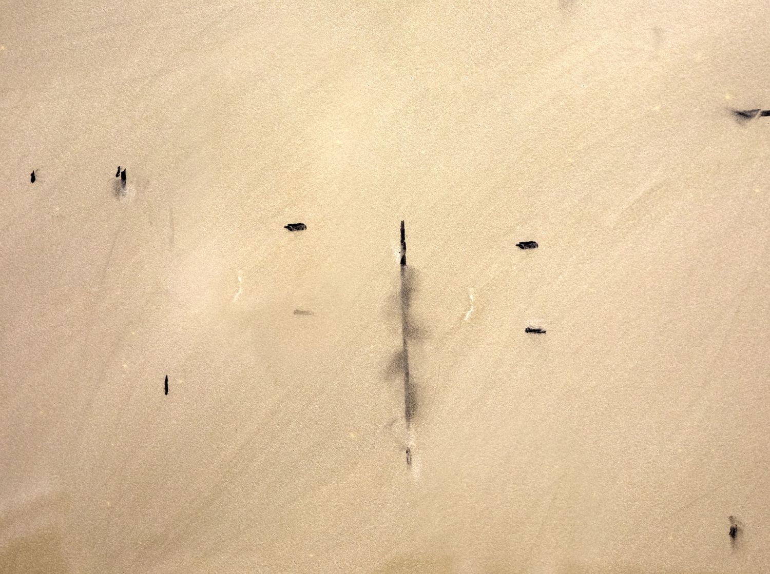 Aerial view of small black dots scattered across a beige sandy desert landscape.