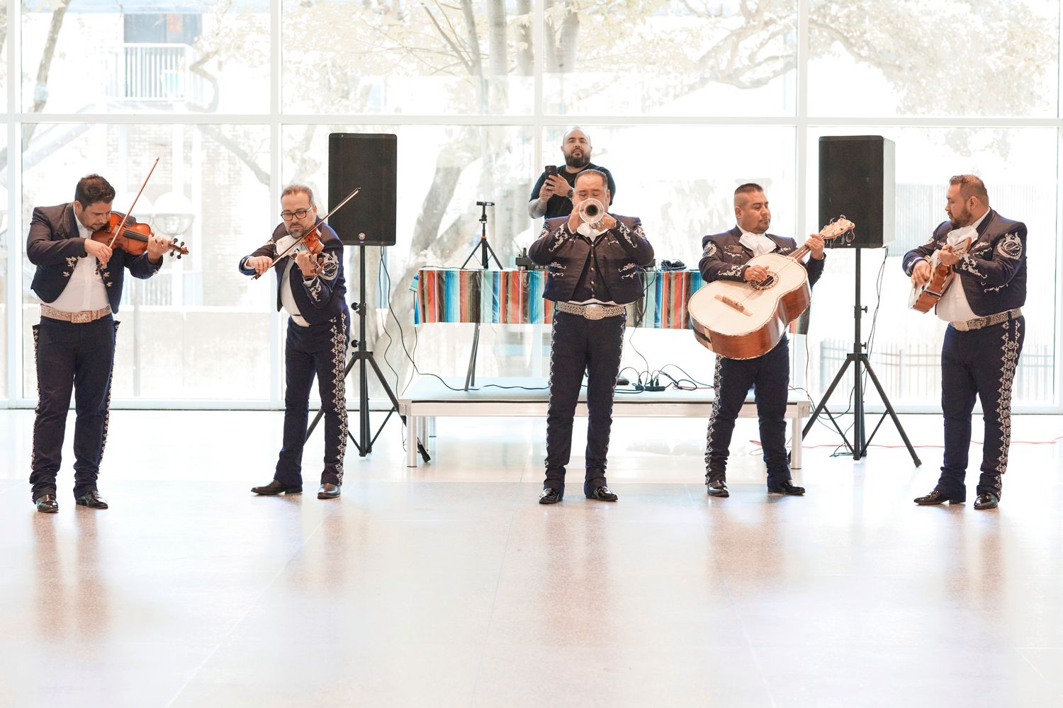 Band of musicians performing with string instruments and guitar on stage.