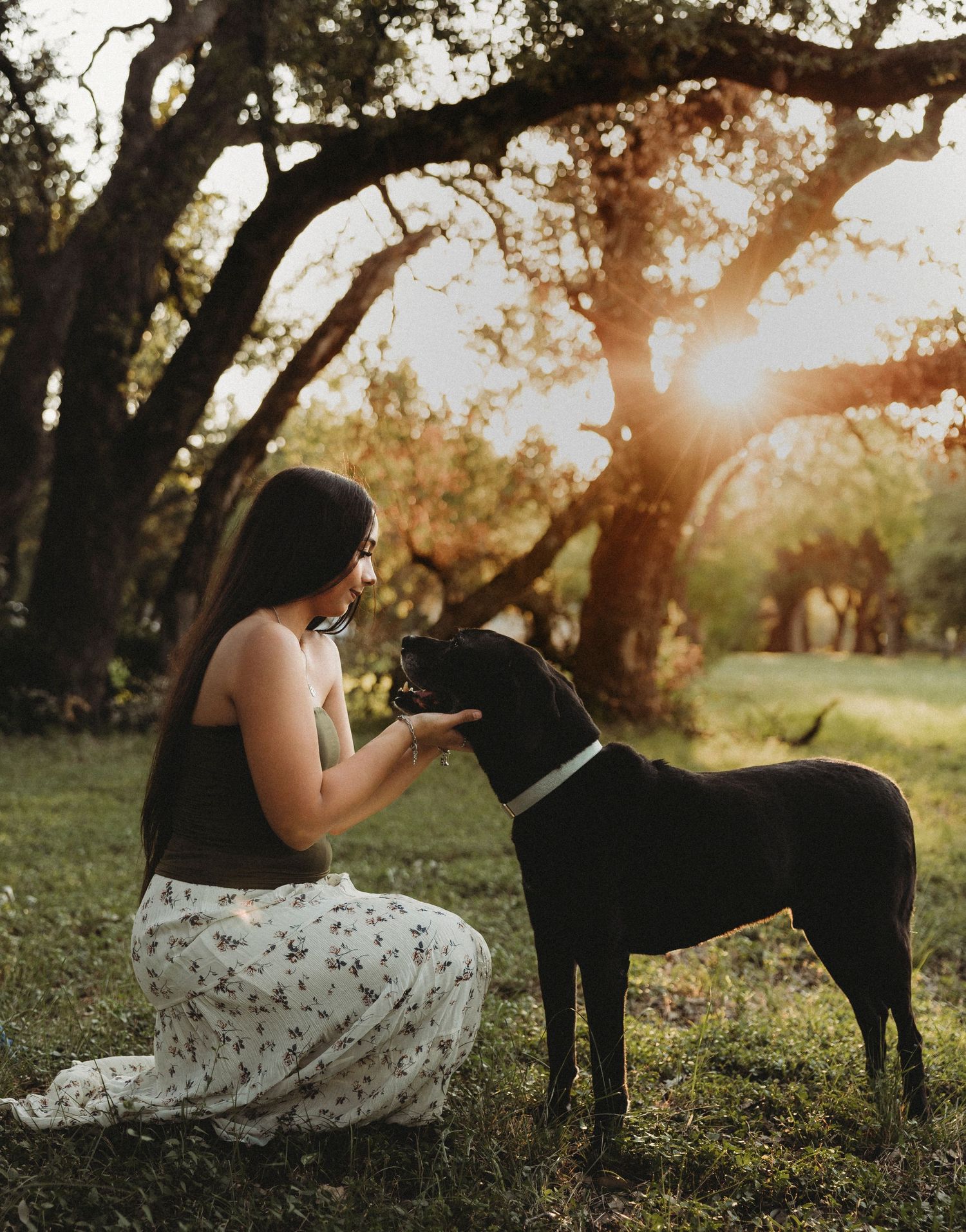Outdoor senior portrait with a black dog during a golden hour senior session in Abilene, Texas.