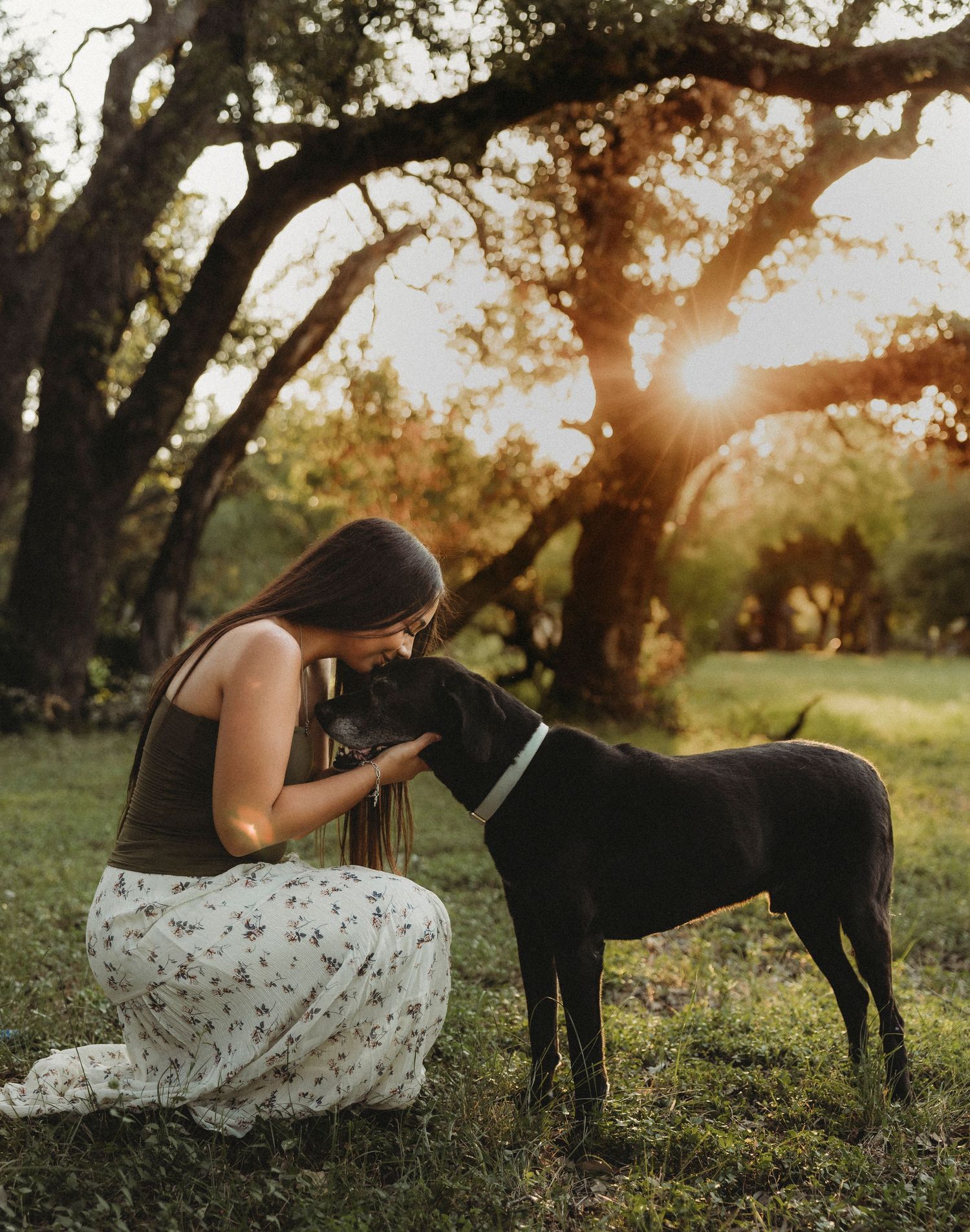 Abilene Texas senior girl with her horse during a golden hour outdoor senior portrait session by Shadow & Light Portraits.