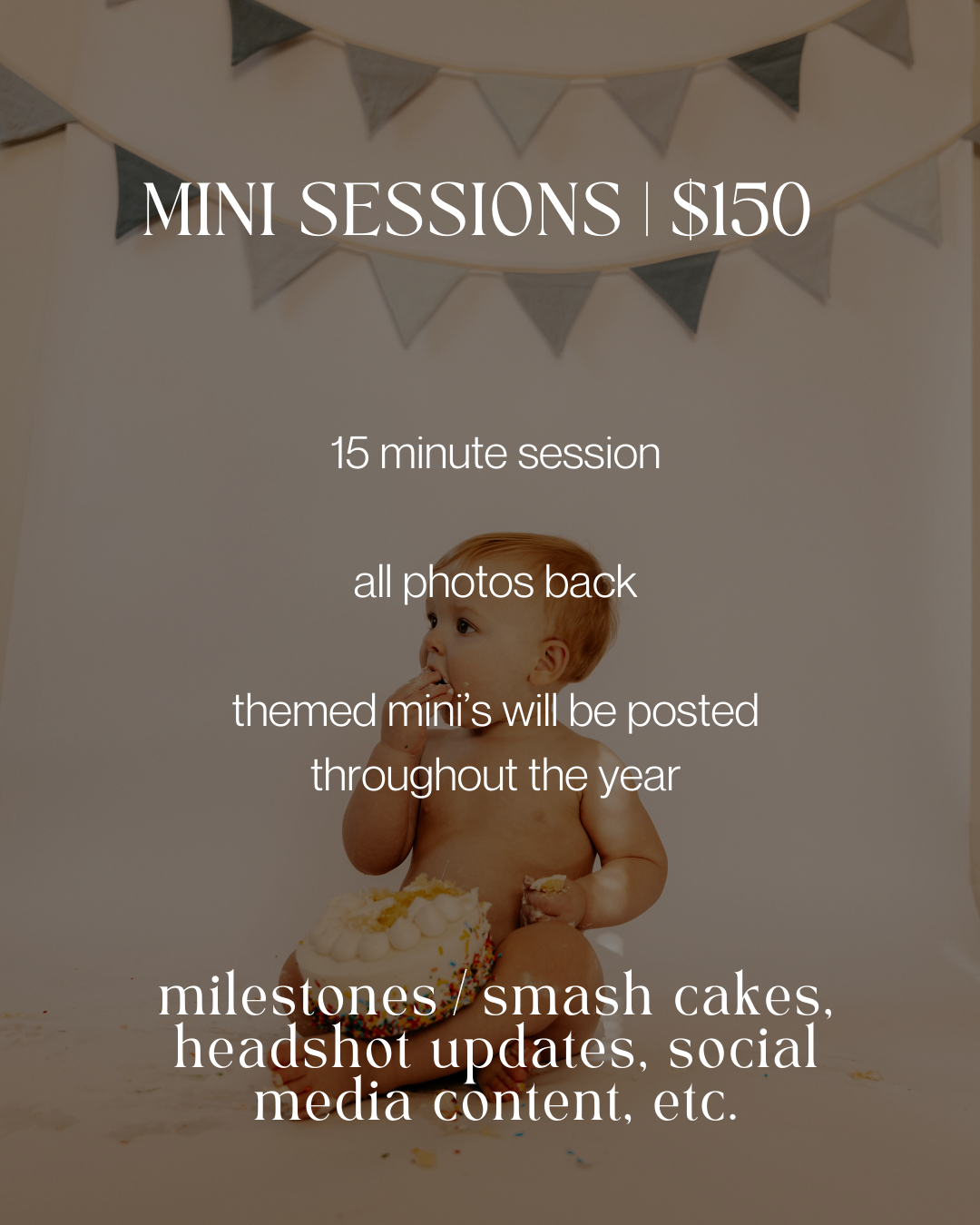 Mini photography session pricing details with grey bunting banner and text overlay.