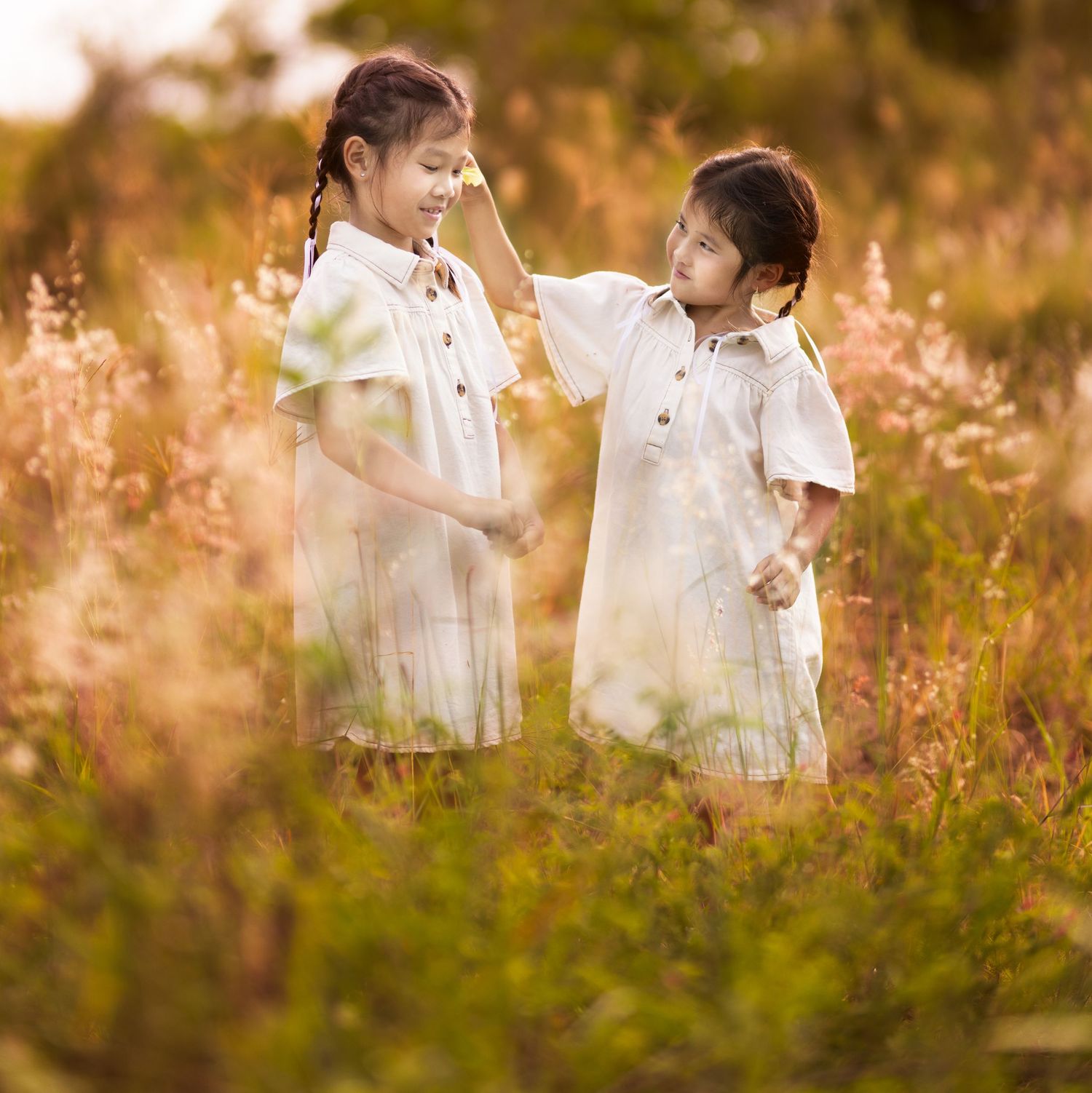 Heartfelt siblings portrait in golden field Brisbane - Timeless heirloom art