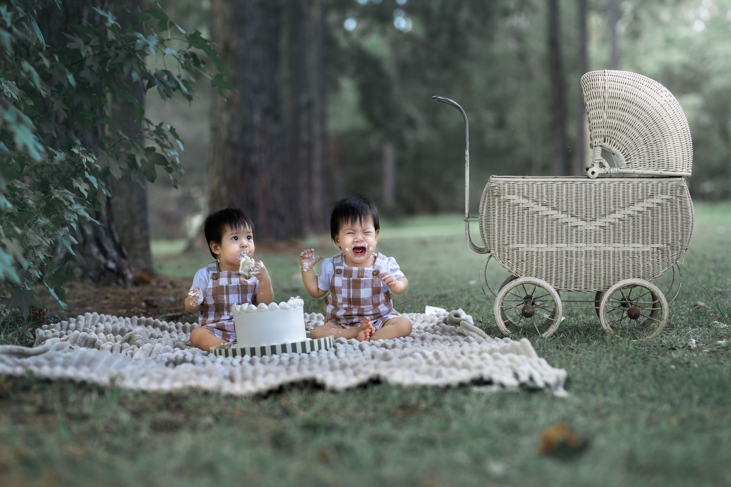 Toddler twin photography session in Brisbane park - Fine art storytelling