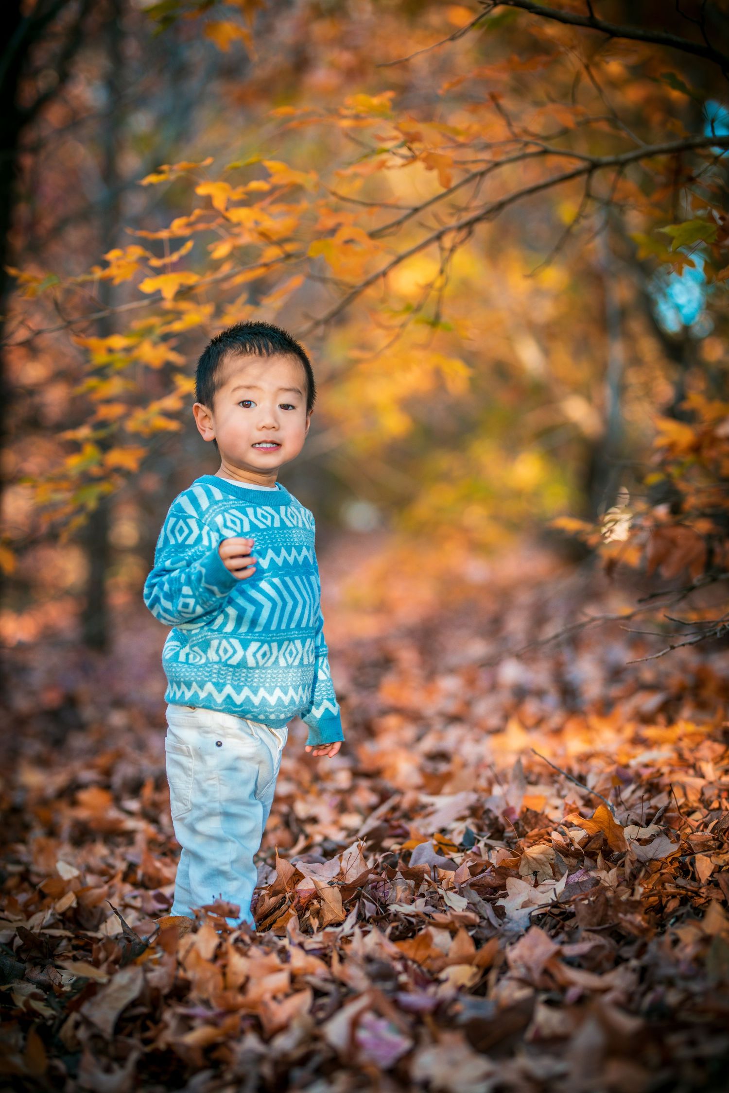 Timeless kids portrait session with autumn colors - Brisbane fine art photographer