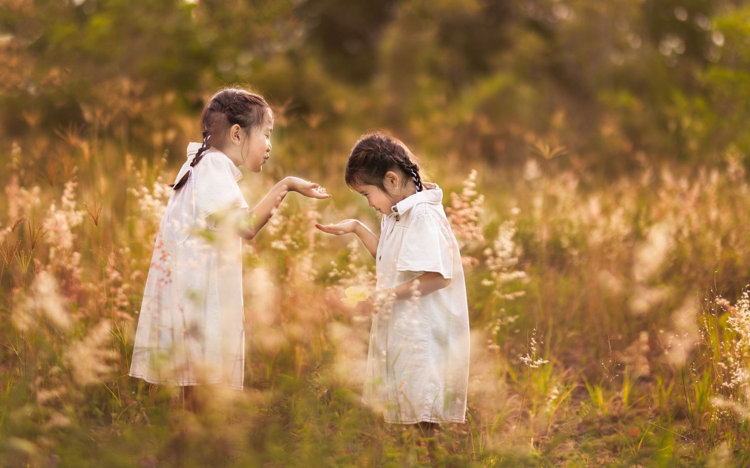 Whimsical children fine art session in golden field - Brisbane family photographer