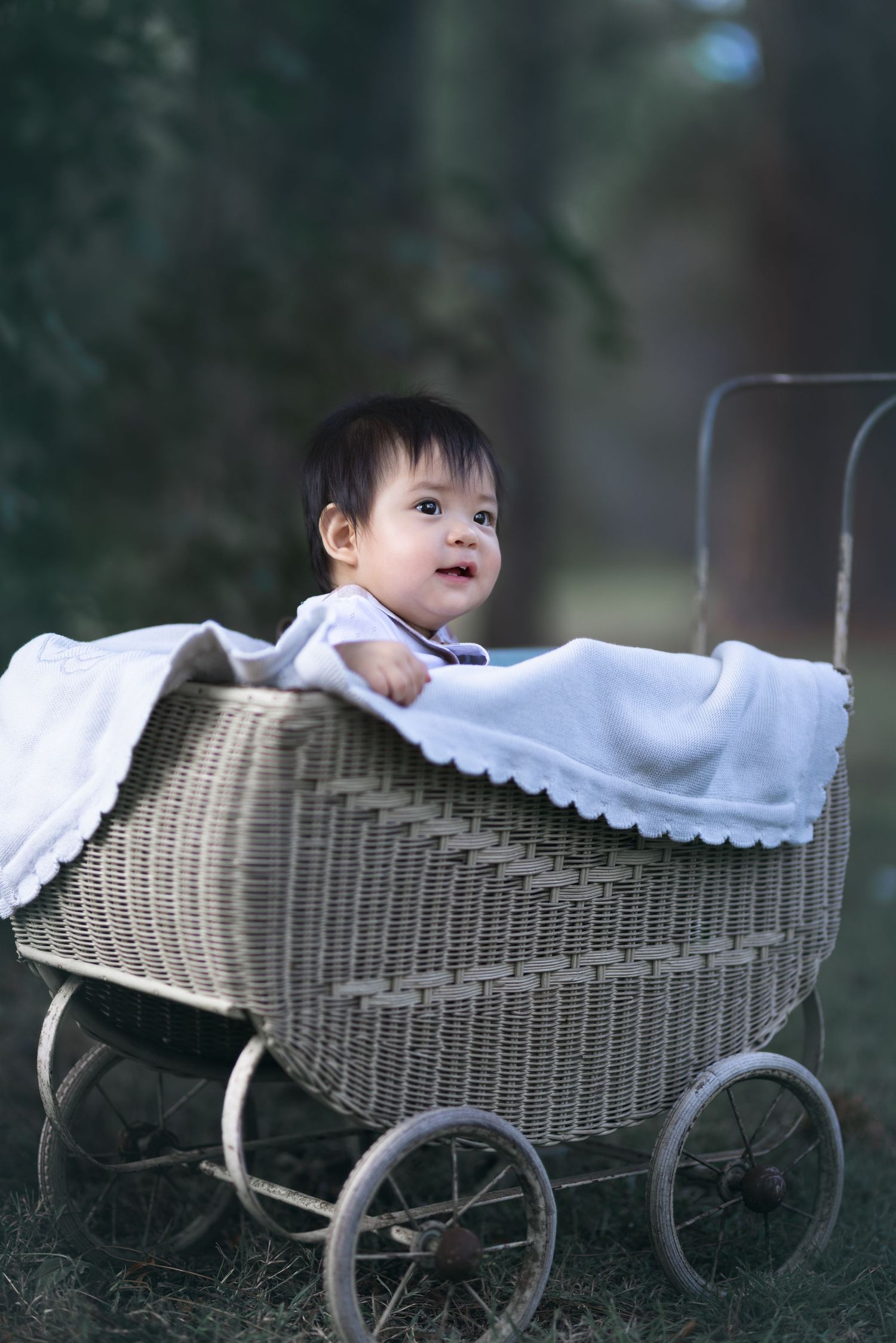 Fine art baby portrait in vintage wicker pram Brisbane