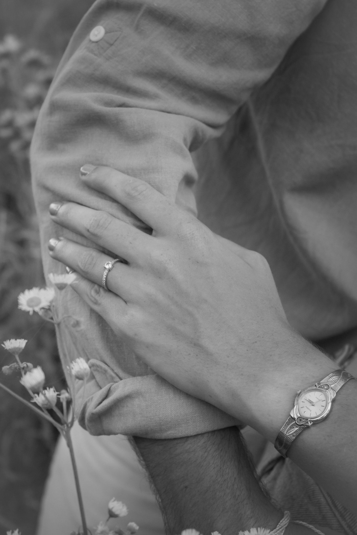 A series of black and white photos showing hands gently touching delicate white flowers in soft natural light.