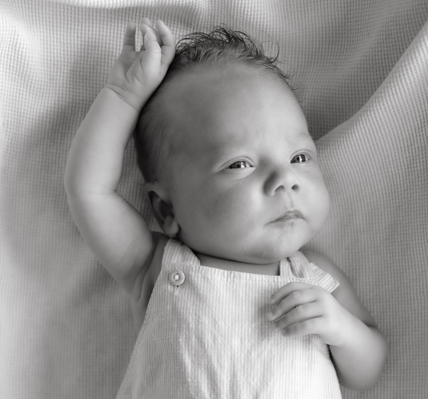 In home newborn session, with natural window light in St. Louis, Missouri