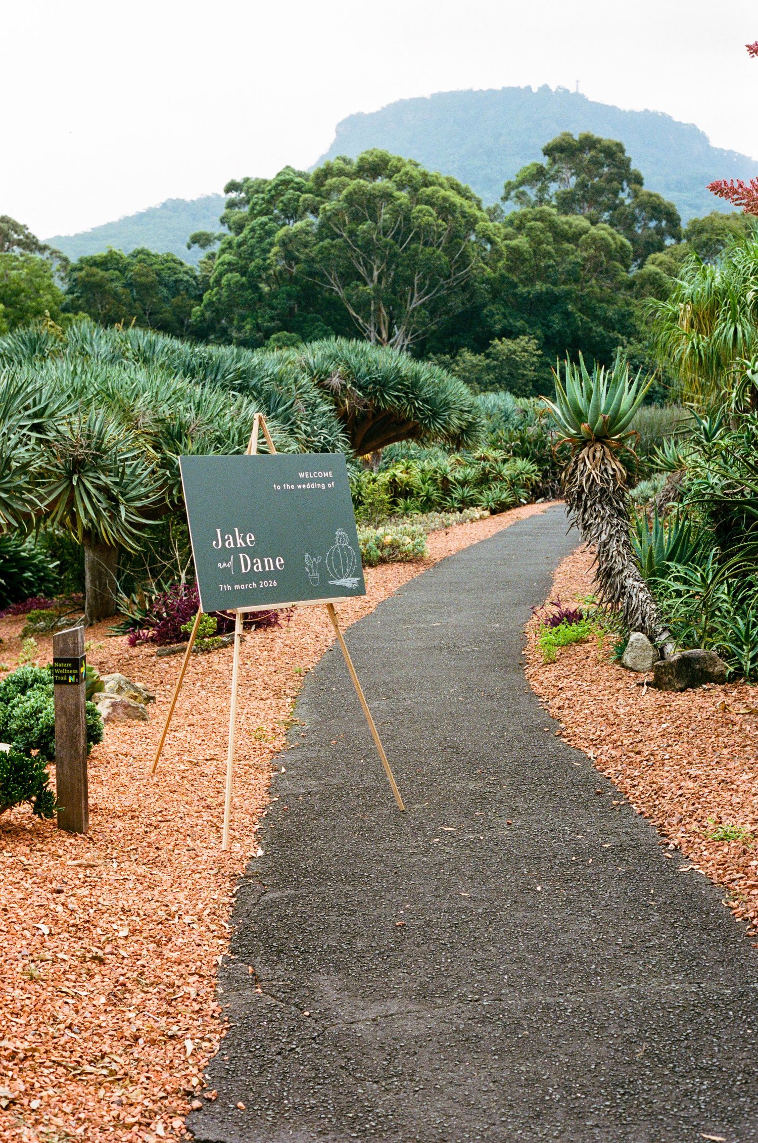 A wedding welcome sign for Jake and Dane along a garden path surrounded by tropical plants and misty mountains.
