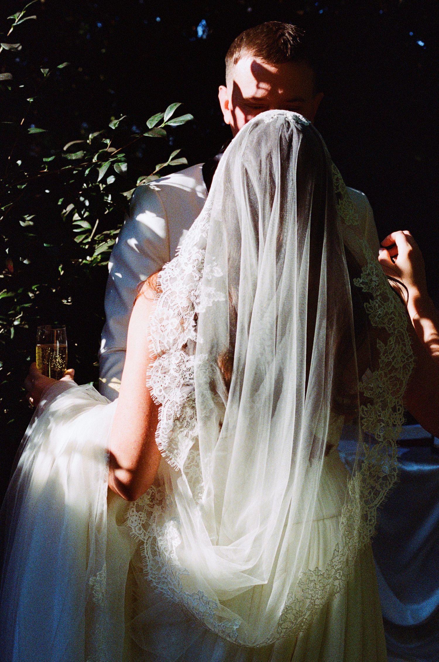 Artistic wedding photo with sunlight filtering through veil and foliage.
