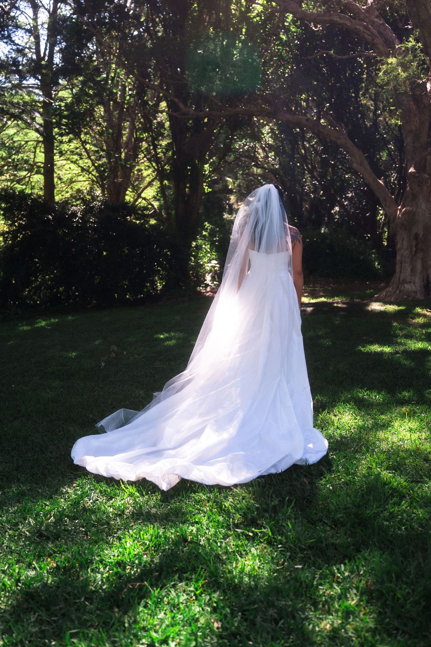 Wedding dress and veil trail elegantly across sunlit grass under trees.