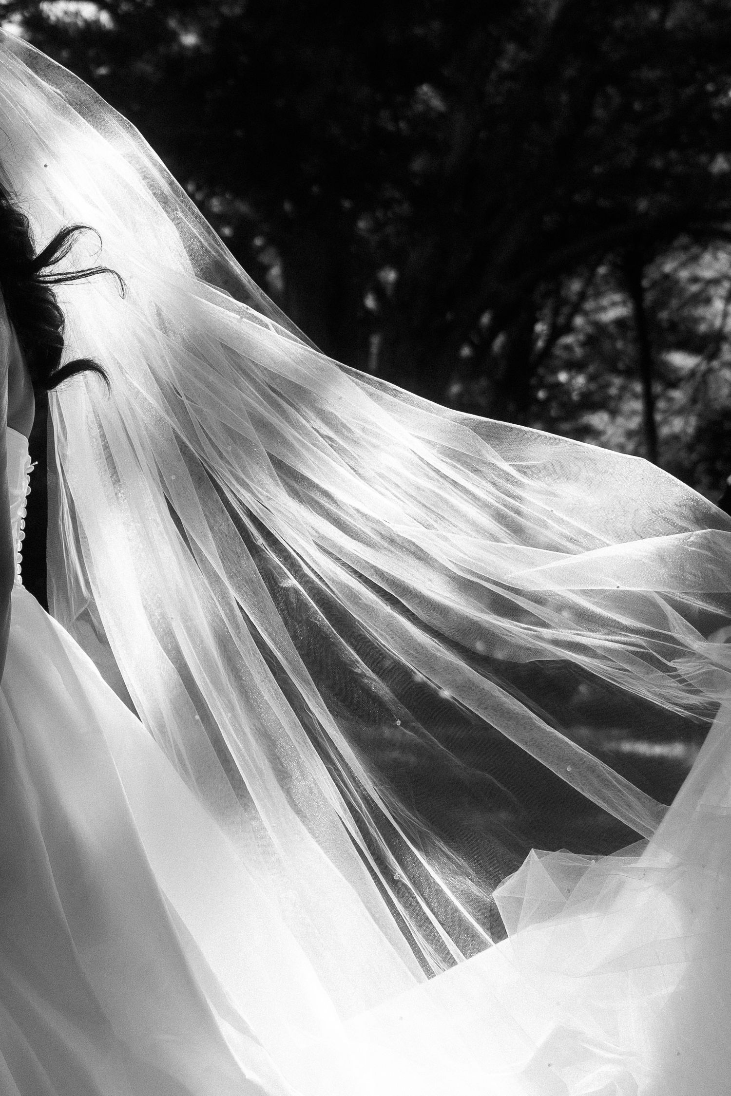 Black and white abstract photos of flowing wedding veil fabric.
