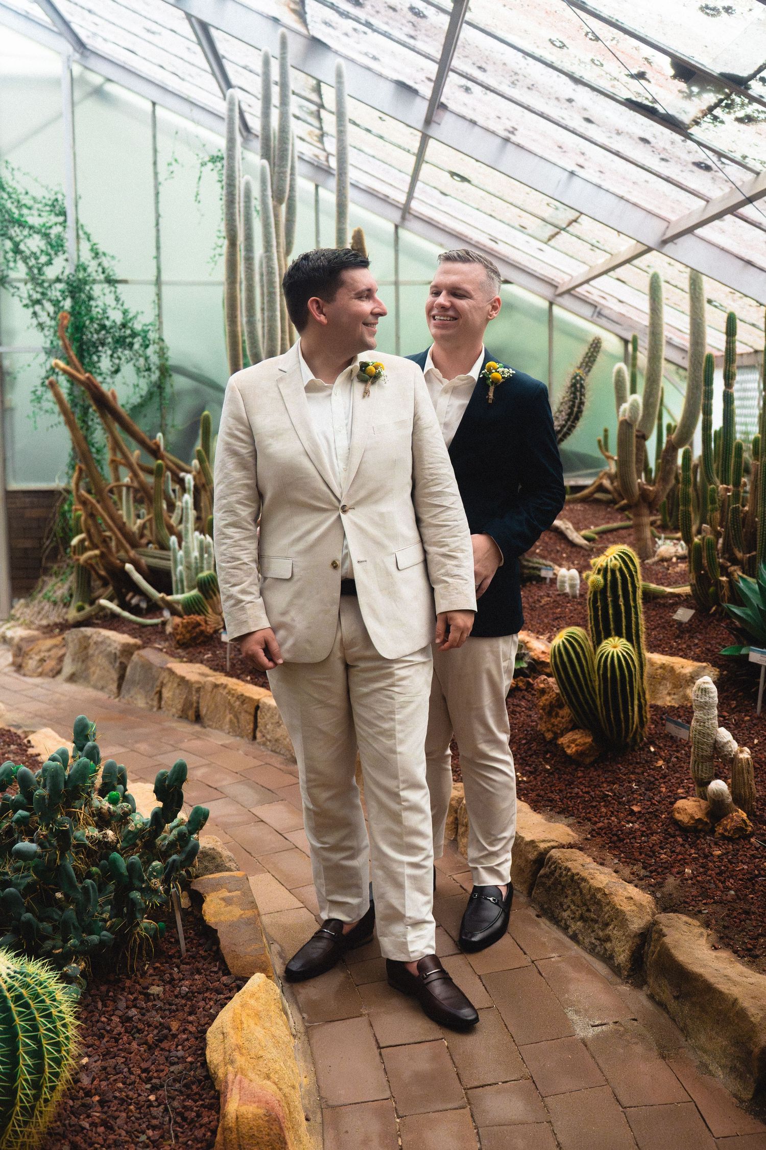 Two grooms in suits holding hands in a greenhouse cactus garden on their wedding day.