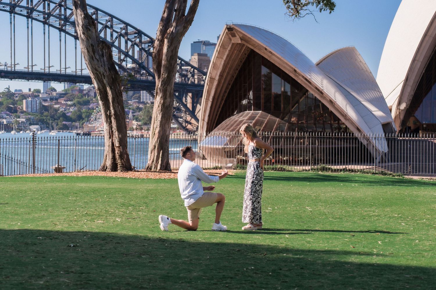 A sequence showing a proposal moment on green lawn with Sydney Harbour Bridge visible.