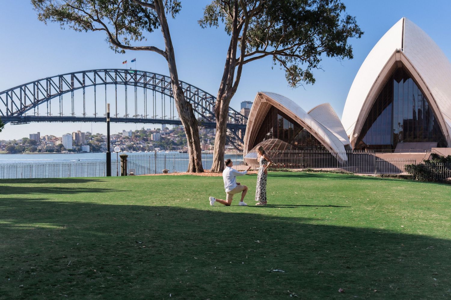 Sydney Opera House and Harbour Bridge visible across green lawn on a clear day.