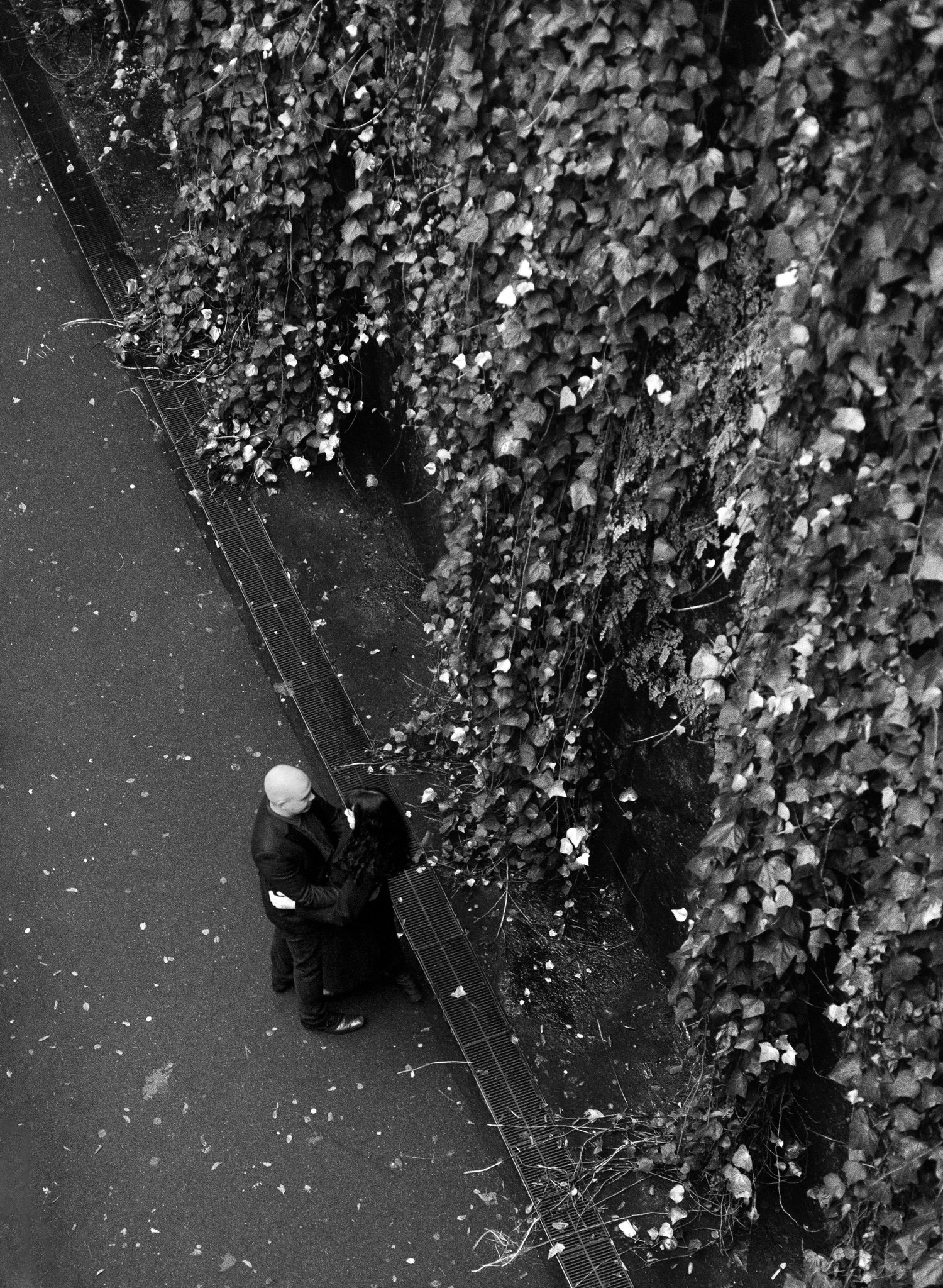 An overhead view of two people walking near ivy-covered walls.